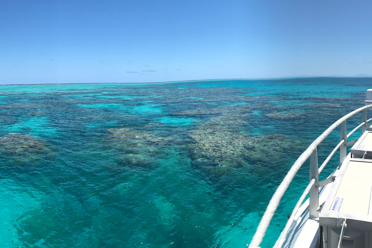 Great Barrier with Wavelength Reef Cruises