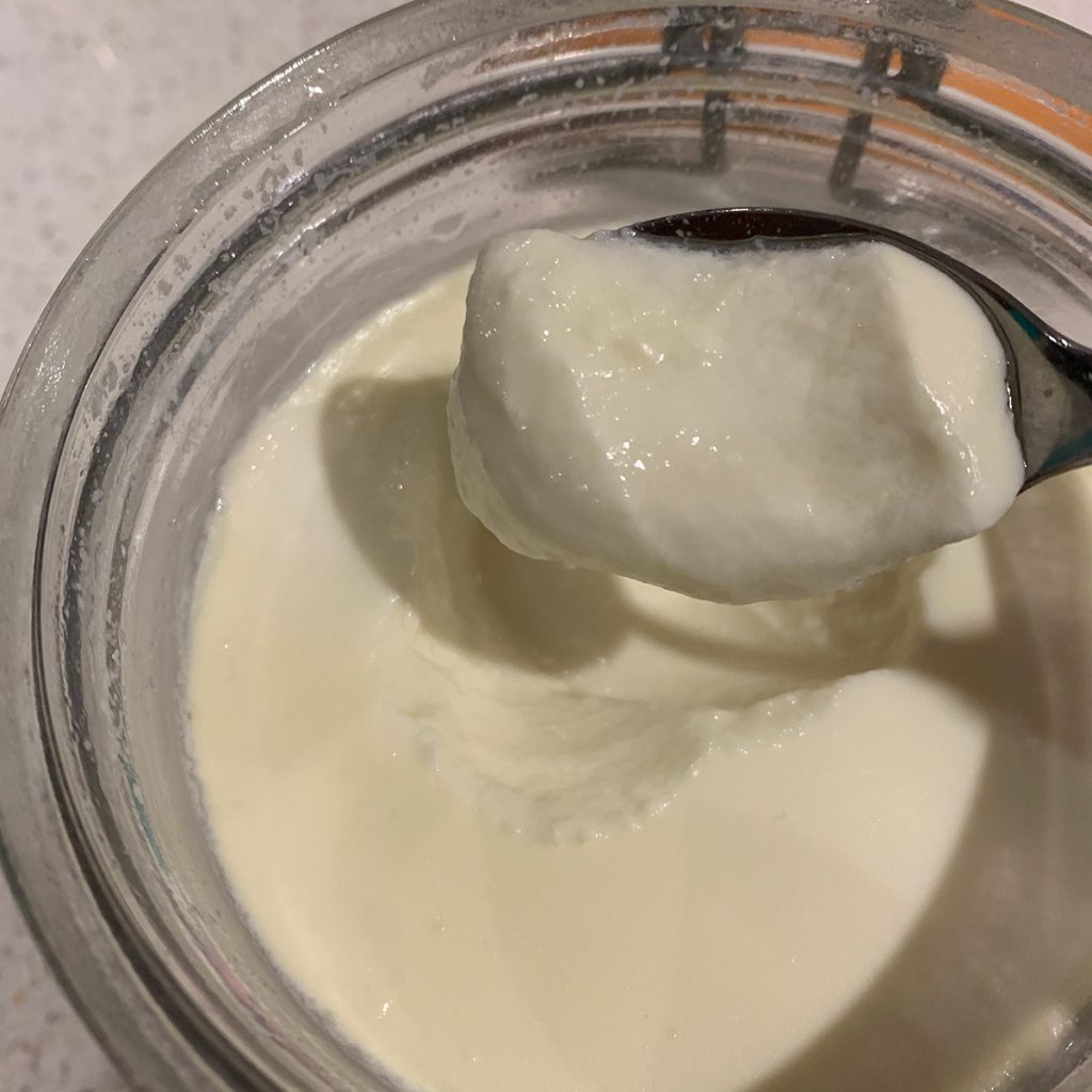 fresh, thick homemade yoghurt